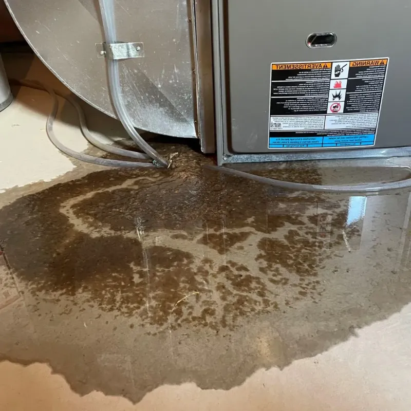 Pipe Burst and Leak Restoration in La Mirada, CA